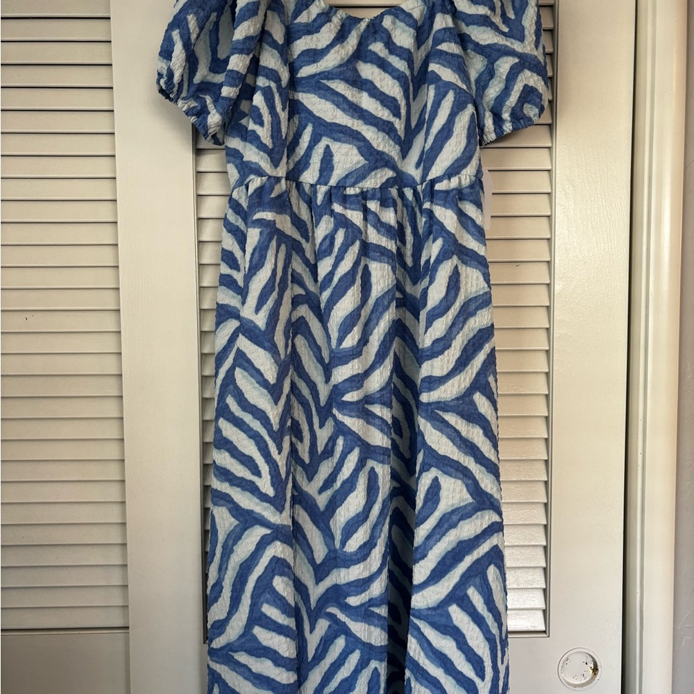 Time and Tru Blue and White Textured Dress